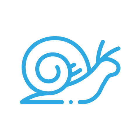 Icon of a snail