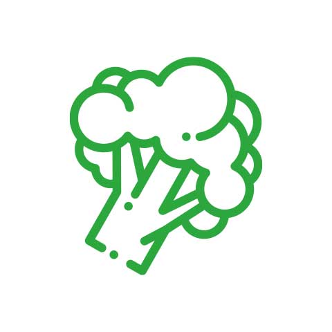 Icon of a broccoli
