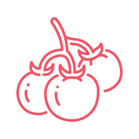 Tomato icon