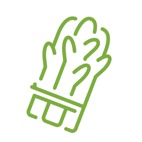 Asparagus icon