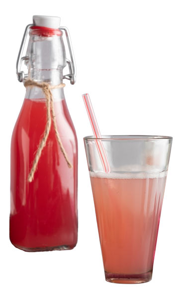 Rhubarb beverage