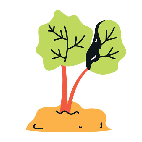 Rhubarb icon