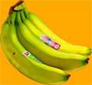 Bundle of bananas