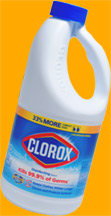 Bottle of Clorox bleach